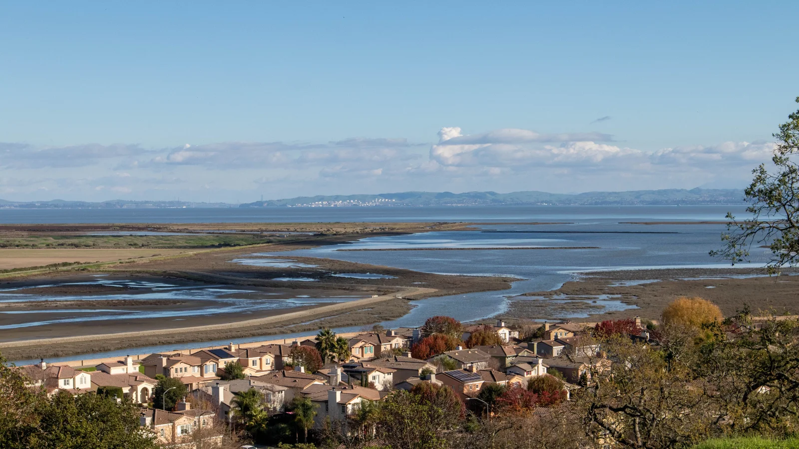 Wetlands and neighborhoods along the bay